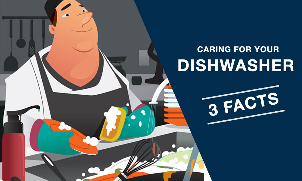 washtech_dishwasher_3_fact_main_banner