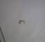 moffat sil1215m - silhouette2 slicer - 12 and 15mm slice thickness - 3 phase